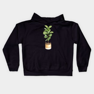 Fiddle leaf fig, houseplant, potted plant, fiddle leaf Kids Hoodie